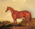 Ein Porträt Des Rennpferd Harkaway Pferd John Ferneley Snr